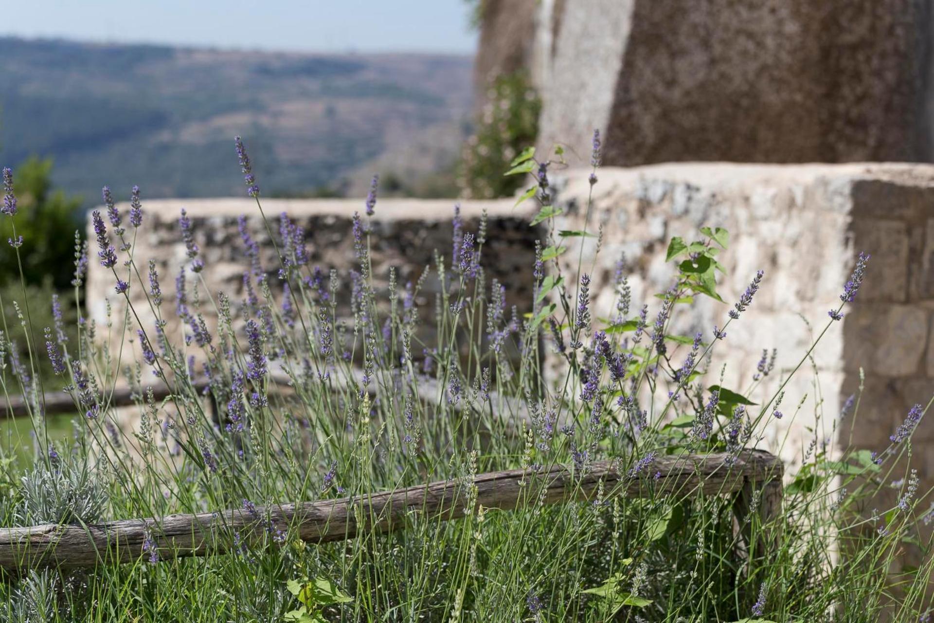 Antico Convento Dei Cappuccini Ξενοδοχείο Ραγκούσα Εξωτερικό φωτογραφία